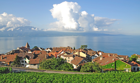 Weinort Cully am Genfersee nahe Lausanne